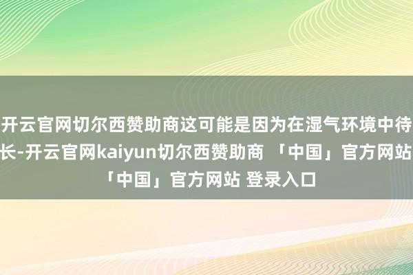 开云官网切尔西赞助商这可能是因为在湿气环境中待得时刻过长-开云官网kaiyun切尔西赞助商 「中国」官方网站 登录入口