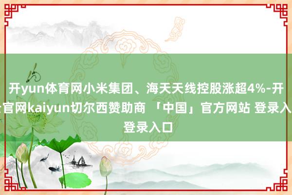 开yun体育网小米集团、海天天线控股涨超4%-开云官网kaiyun切尔西赞助商 「中国」官方网站 登录入口