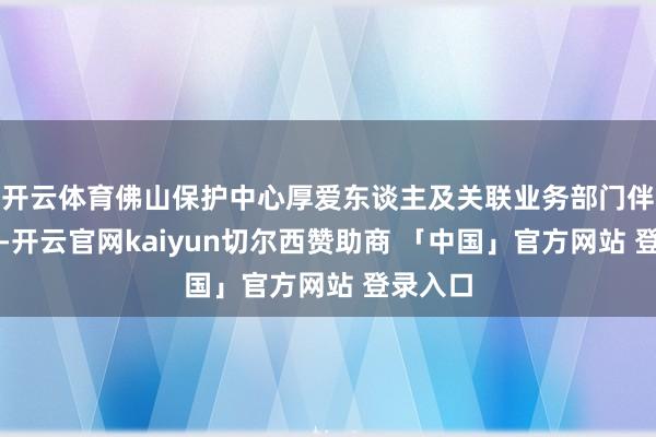 开云体育佛山保护中心厚爱东谈主及关联业务部门伴随调研-开云官网kaiyun切尔西赞助商 「中国」官方网站 登录入口