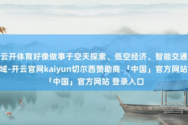 云开体育好像做事于空天探索、低空经济、智能交通等策略领域-开云官网kaiyun切尔西赞助商 「中国」官方网站 登录入口