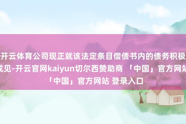 开云体育公司现正就该法定条目偿债书内的债务积极寻求法律成见-开云官网kaiyun切尔西赞助商 「中国」官方网站 登录入口