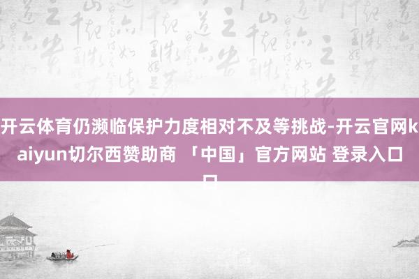 开云体育仍濒临保护力度相对不及等挑战-开云官网kaiyun切尔西赞助商 「中国」官方网站 登录入口