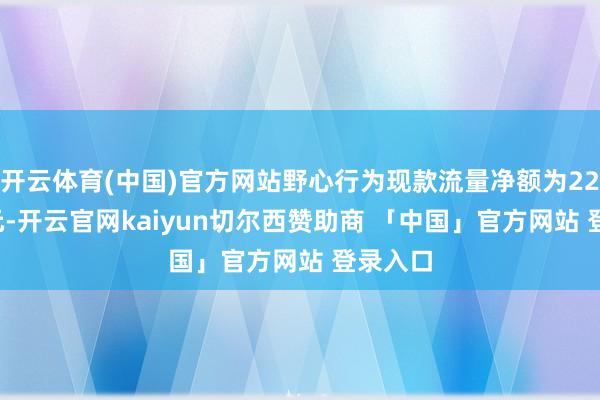 开云体育(中国)官方网站野心行为现款流量净额为22.89亿元-开云官网kaiyun切尔西赞助商 「中国」官方网站 登录入口