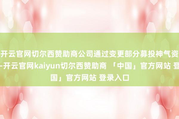 开云官网切尔西赞助商公司通过变更部分募投神气资金用途-开云官网kaiyun切尔西赞助商 「中国」官方网站 登录入口