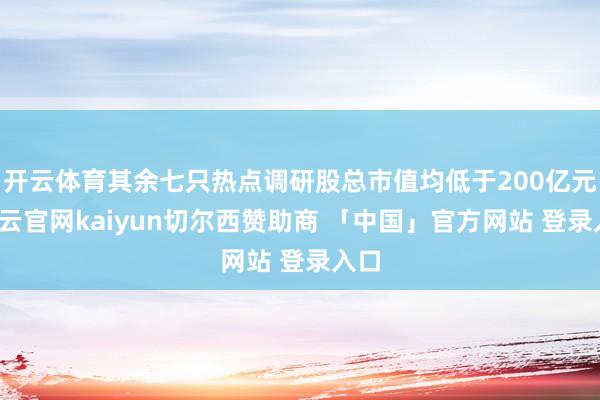 开云体育其余七只热点调研股总市值均低于200亿元-开云官网kaiyun切尔西赞助商 「中国」官方网站 登录入口