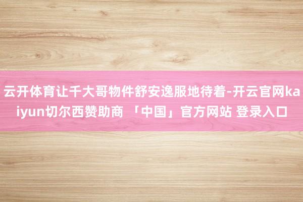 云开体育让千大哥物件舒安逸服地待着-开云官网kaiyun切尔西赞助商 「中国」官方网站 登录入口