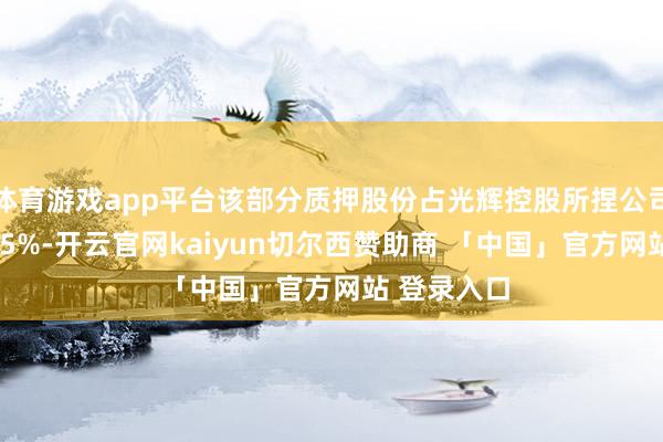 体育游戏app平台该部分质押股份占光辉控股所捏公司股份的2.25%-开云官网kaiyun切尔西赞助商 「中国」官方网站 登录入口