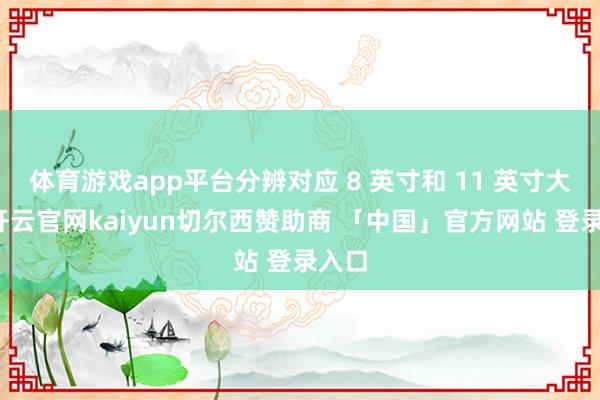 体育游戏app平台分辨对应 8 英寸和 11 英寸大小-开云官网kaiyun切尔西赞助商 「中国」官方网站 登录入口
